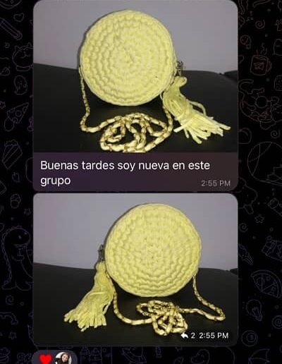 testimonio alumnos cursos en bolsos en trapillo-crochet